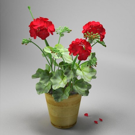 مدل سه بعدی گلدان شمعدانی